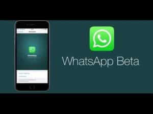 WhatsApp Beta Version 