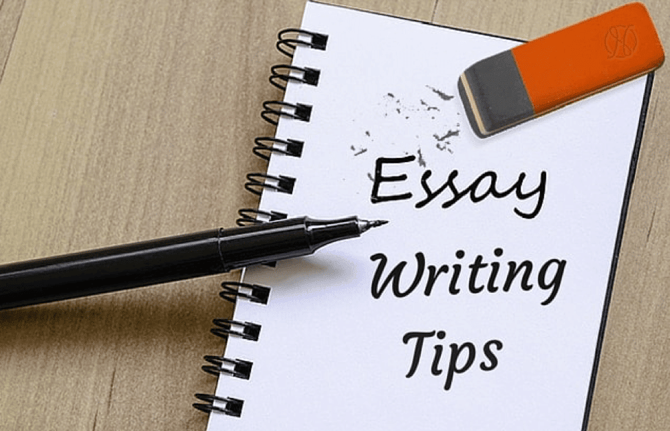 books to improve essay writing