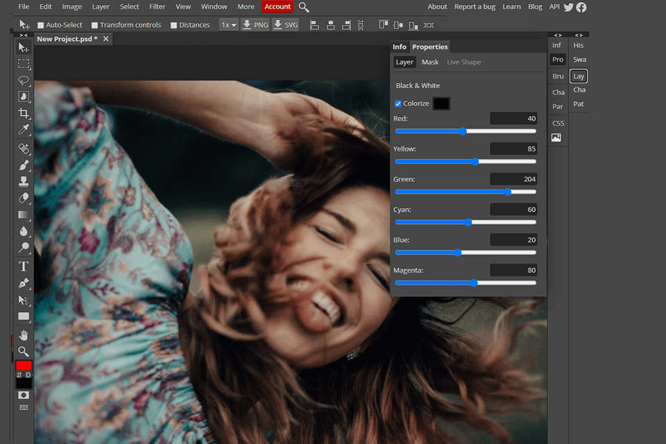 photo editor with body adjustment pc