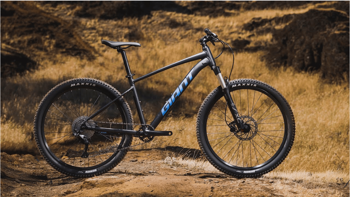 Best entry level mountain bikes - Gadget Advisor