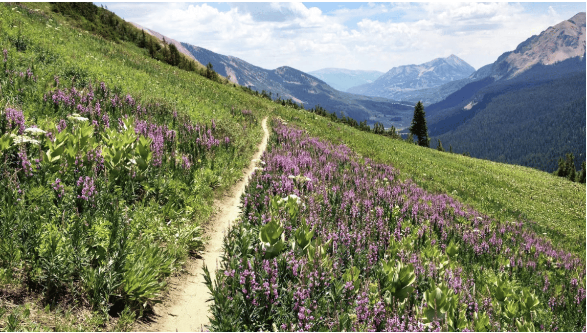 401 Trail, Colorado USA