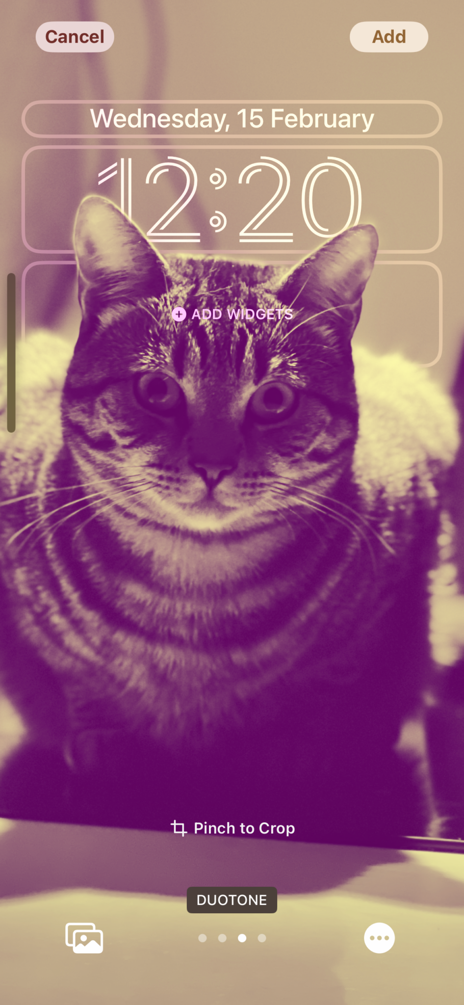 How to change wallpaper on iPhone Gadget Advisor