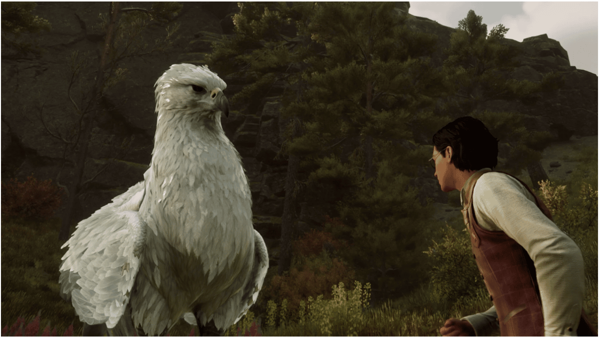 How to Get the Hippogriff