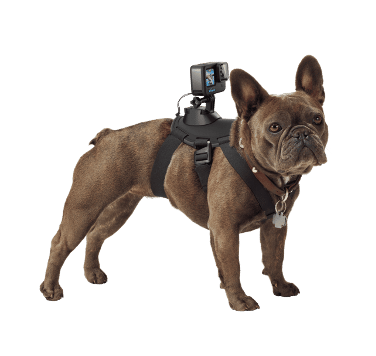 Go Pro Fetch Harness