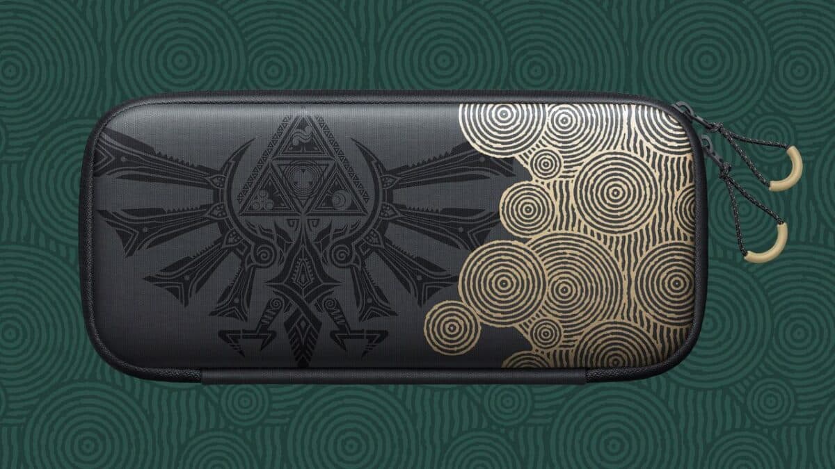 Nintendo Switch Zelda case