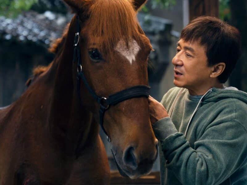 Trailer for Ride On