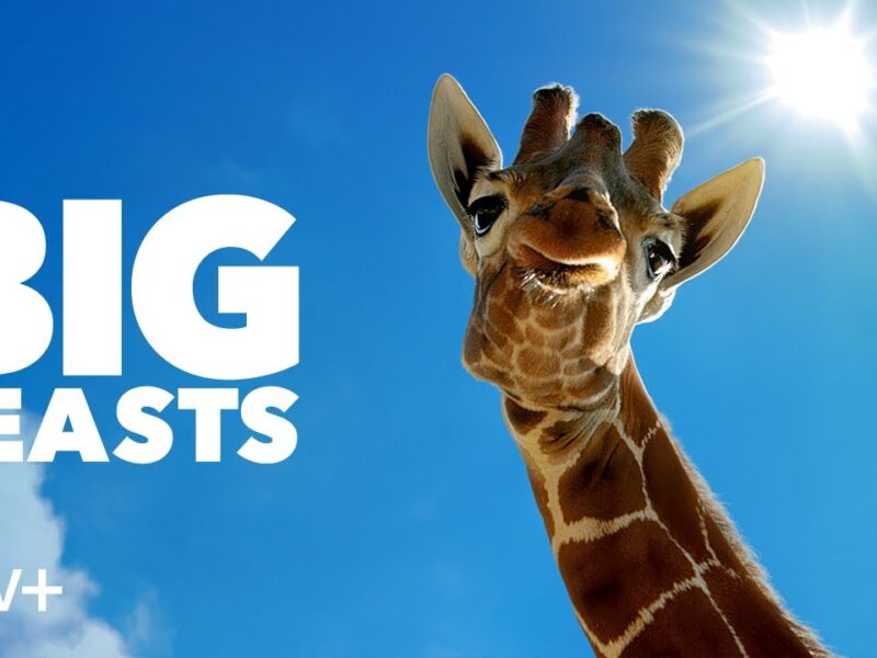 Big Beasts is a new nature series on Apple TV+