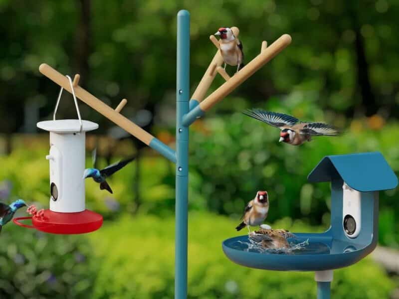 BirdBuddy showcases new bird feeders