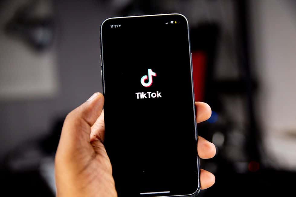 TikTok chatbot