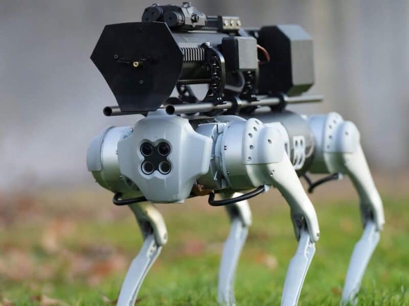 The Thermonator is a fire-breathing robotic dog