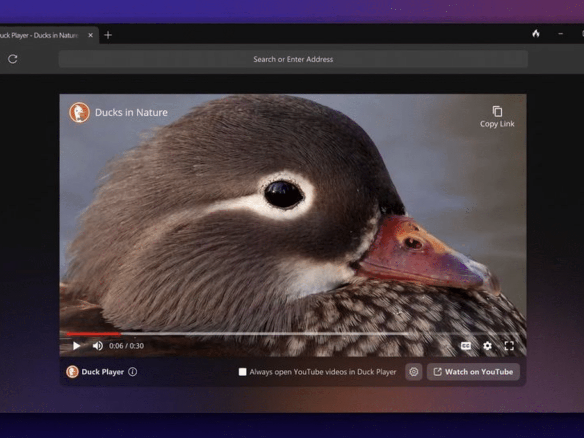 DuckDuckGo releases its browser for Windows