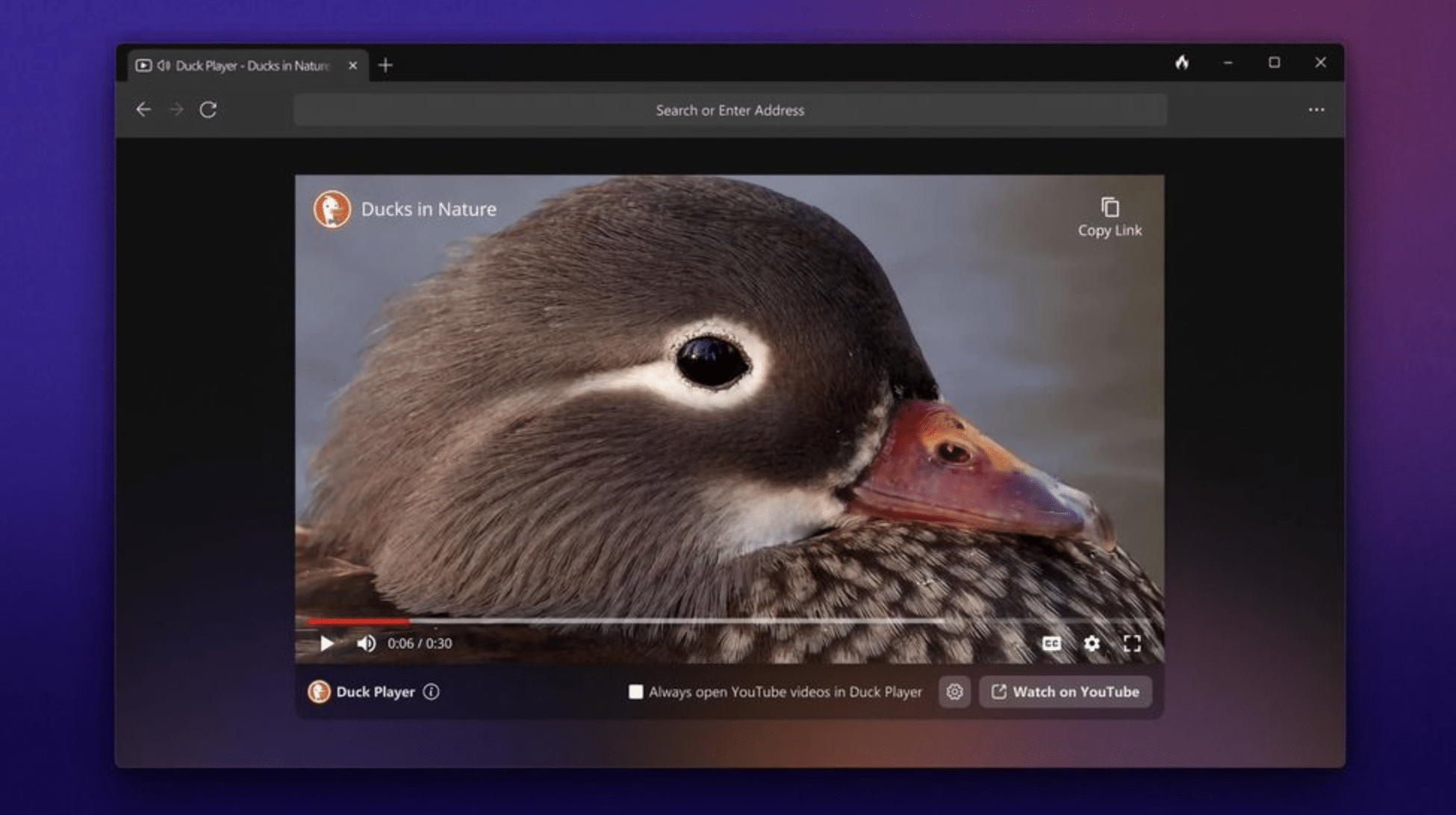 DuckDuckGo