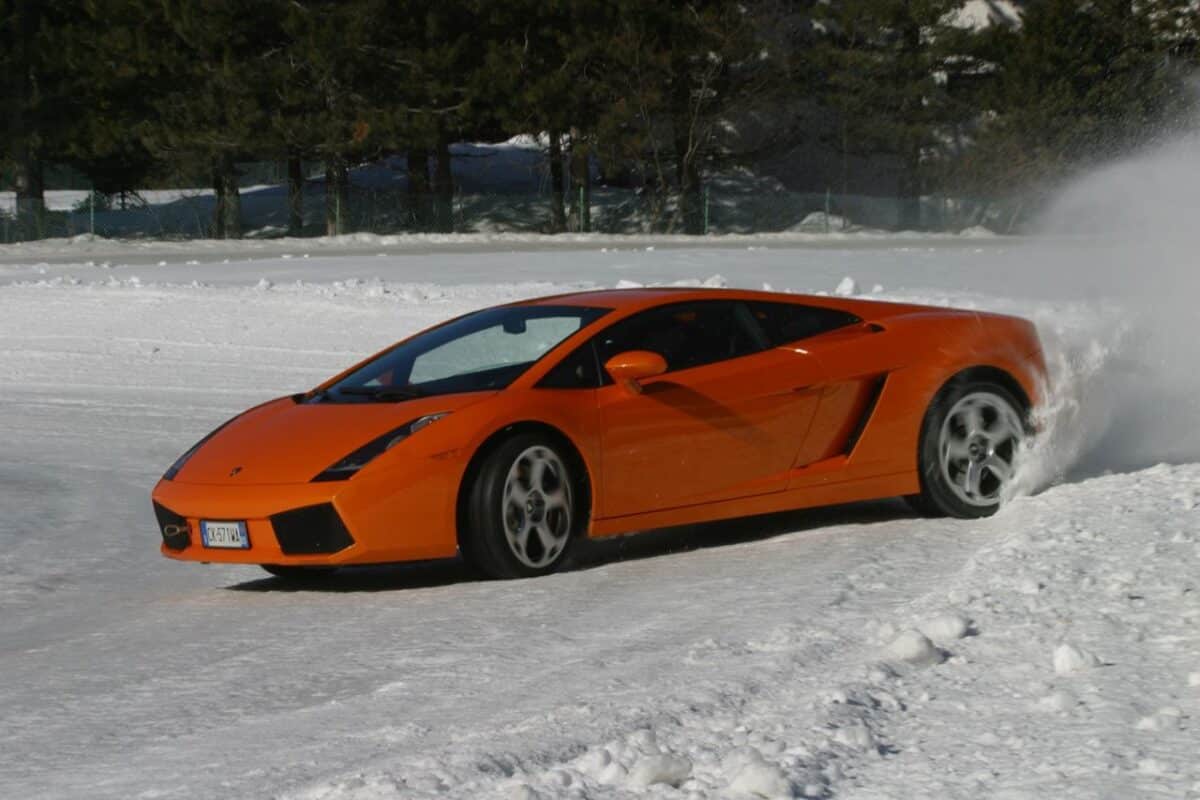 Gallardo