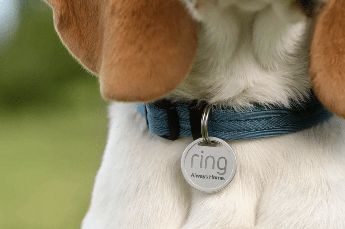 Ring pet tag