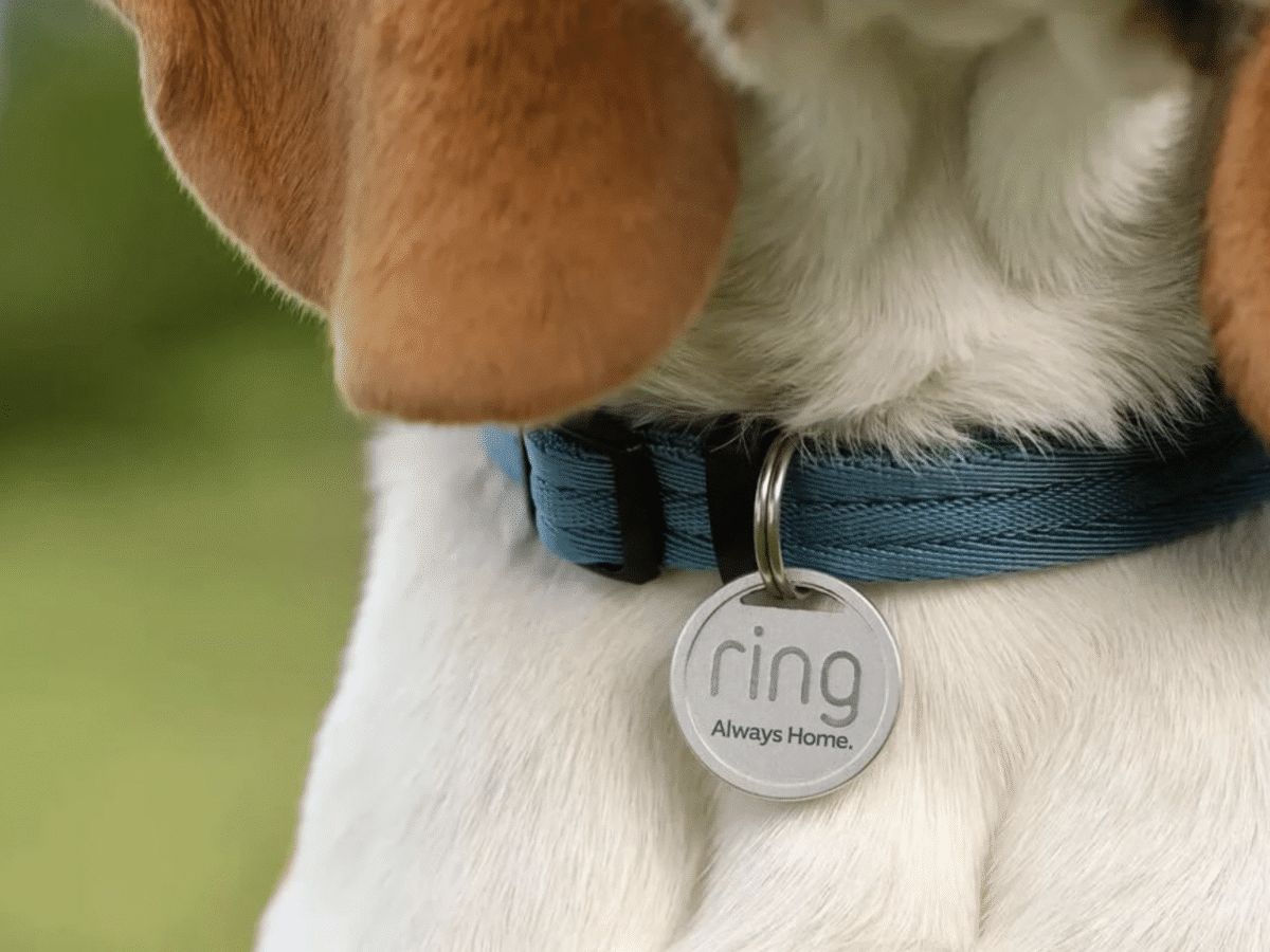 Ring releases a pet tag for pets