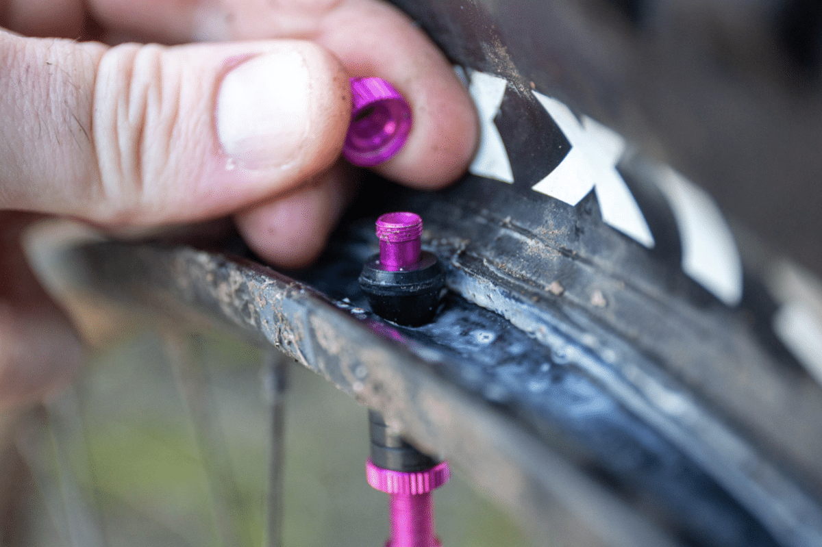 Tubeless Valves