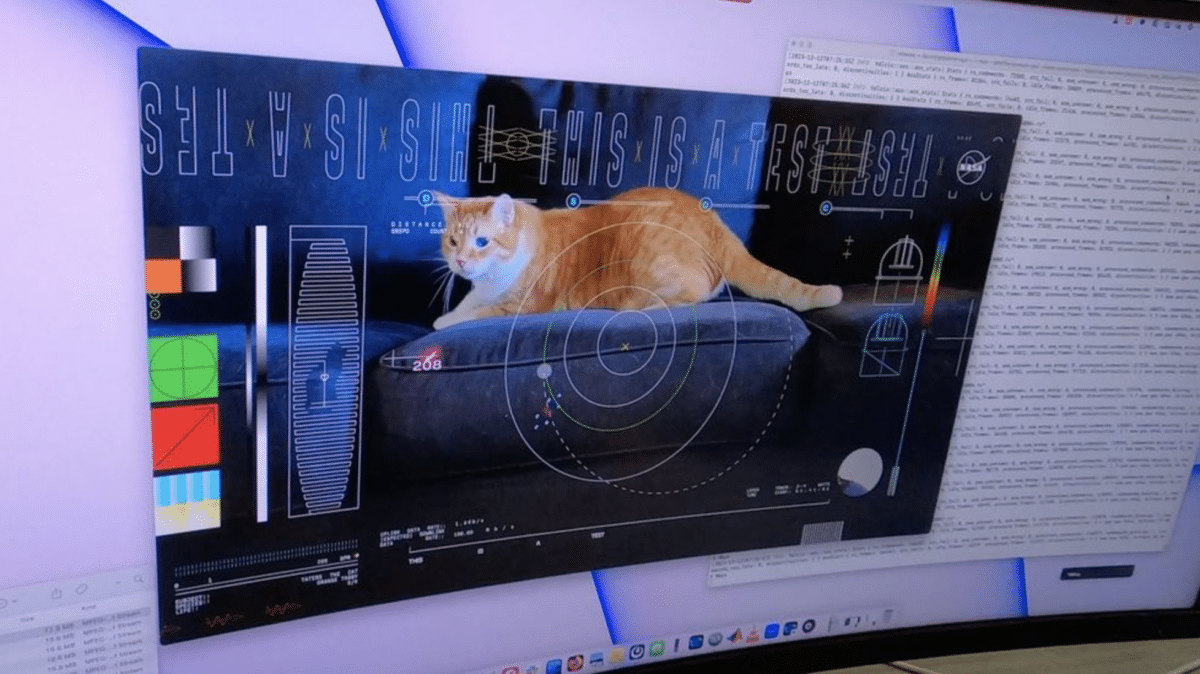 Nasa streamed a cat video from space