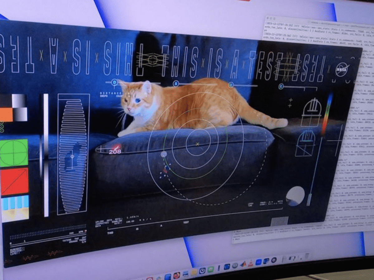 Nasa streamed a cat video from space